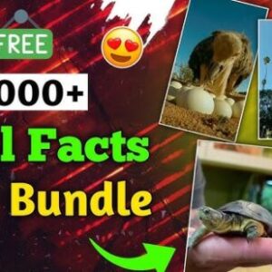 600+ Viral Facts Reels Bundle: Instantly Boost Your Engagement & Followers