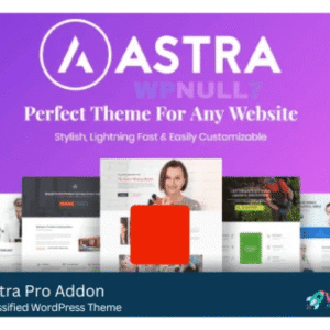 Astra Pro Addon GPL v3.9.4