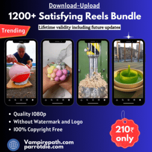 Satisfying Reels Bundlle 📈