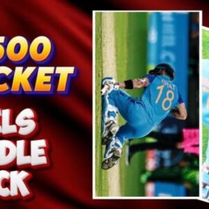 2500 CRICKET HONI VIRAT 18 REELS BUNDLE PACK