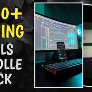 200+ Trading Reel's Bundle Pack